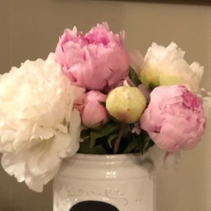 Meet your Posher, Rezy